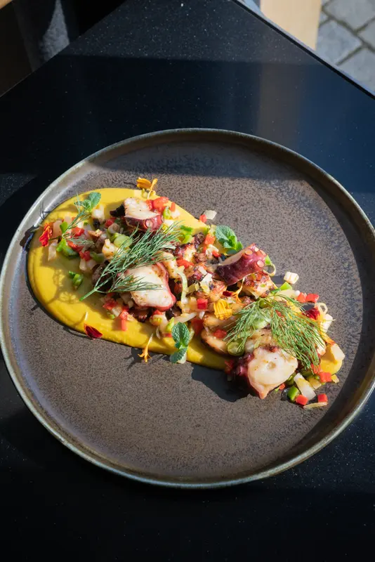 Grilled octopus on saffron purée with fresh dill, mint, diced peppers, and spring onions on a rustic ceramic plate.