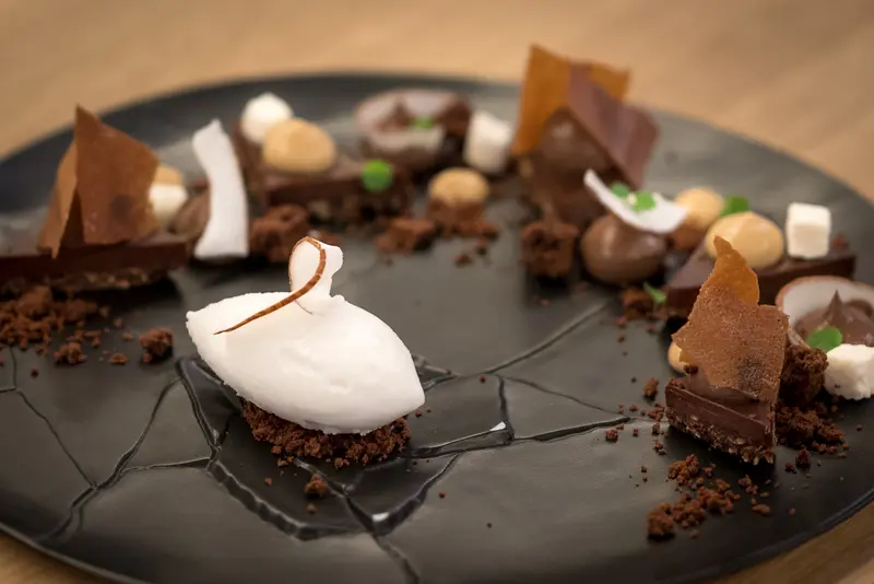 Elegant chocolate dessert plate with coconut sorbet, macadamia nuts, chocolate shards, and cocoa crumble on dark ceramic