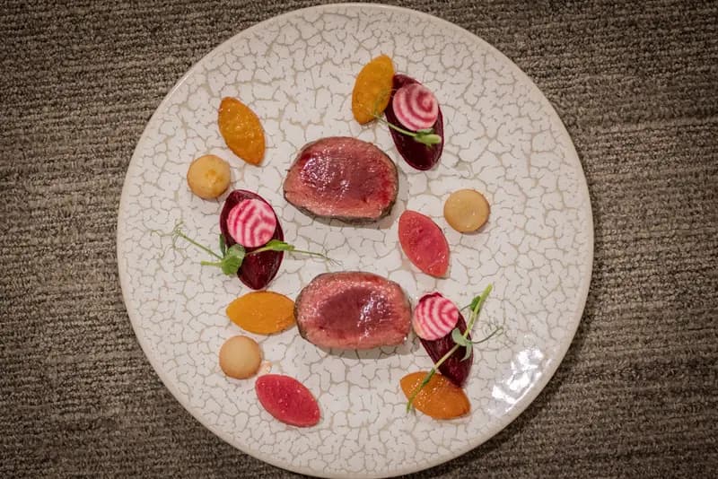 Elegant plated duck breast with roasted beets, Chioggia radish, golden squash, and microgreens on artisan ceramic plate.