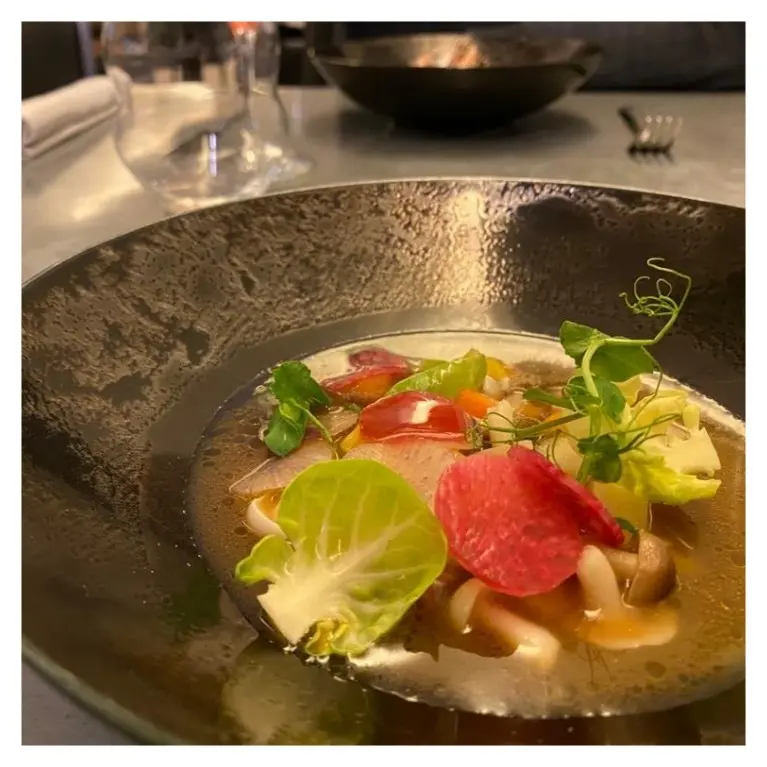 Elegant fine dining dish with radish, mushrooms, microgreens in savory broth served in a dark artisan bowl
