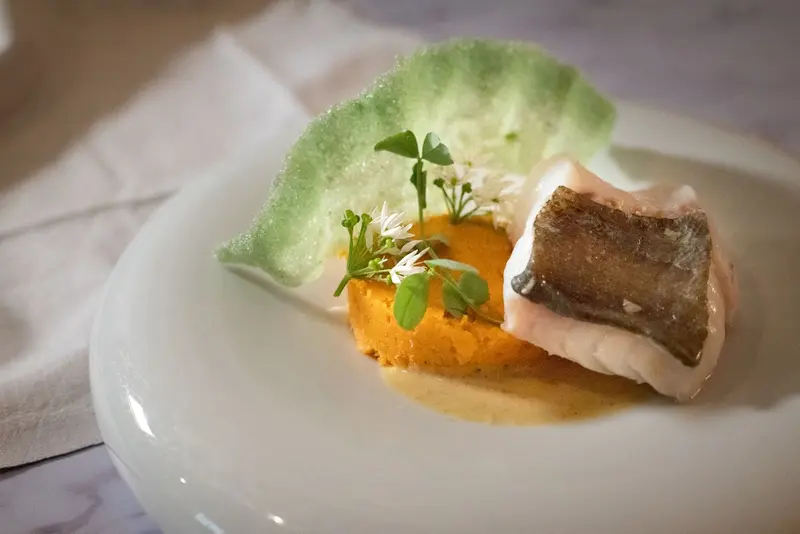 Seared fish fillet on carrot purée with microgreens, edible flowers, and green tuile crisp on white plate